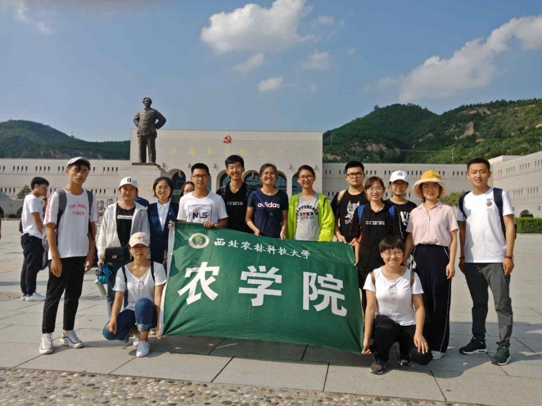 探寻知识问答网页 - 手抓饼怎么卷疑问解答平台